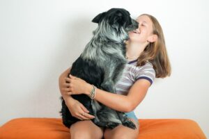 animaux de compagnie