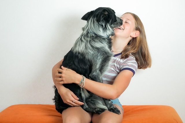 animaux de compagnie